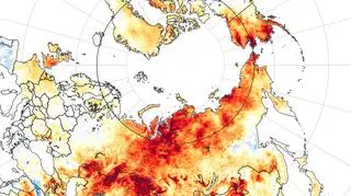 Tegoroczne anomalie temperatury w porównaniu z danymi z lat 2003-2018 (earthobservatory
