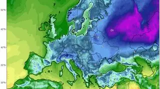 Temperatura 15 stycznia o północy według modelu GFS/University Maine (ClimateReanalyzer