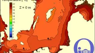 Temperatura Bałtyki/Pracownia Dynamiki Morza,Instytut Oceanografii, UG