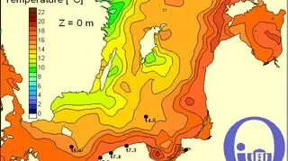 Temperatura Bałtyku 18.09/Pracownia Dynamiki Morza, IO,UG