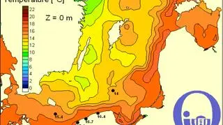 Temperatura Bałtyku 30.09/Pracownia Dynamiki Morza, IO,UG