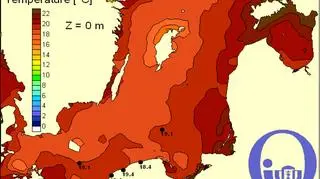 Temperatura Bałtyku/Pracownia Dynamiki Morza, Instytut Meteorologii, UG