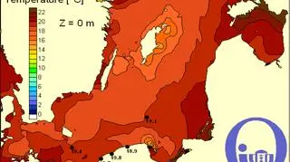 Temperatura Bałtyku/Pracownia Dynamiki Morza, Instytut Meteorologii, UG