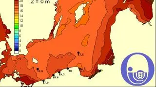 Temperatura Bałtyku / Pracownia Dynamiki Morza, Instytut Oceanografii, UG