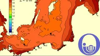 Temperatura Bałtyku / Pracownia Dynamiki Morza, Instytut Oceanografii, UG