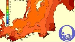 Temperatura Bałtyku/Pracownia Dynamiki Morza, Instytut Oceanografii, Uniwersytet Gdański