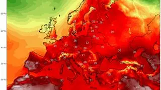 Temperatura maksymalna 1 sierpnia 2018 roku (Climate Reanalyzer (http://cci-reanalyzer.org), Climate Change Institute, University of Maine, USA)
