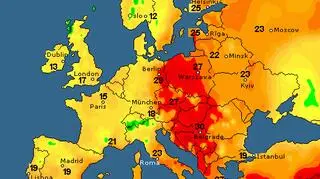 Temperatura maksymalna 12 maja w Europie (wetteronline.de)