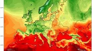 Temperatura maksymalna 25 sierpnia 2018 (climatereanalyzer