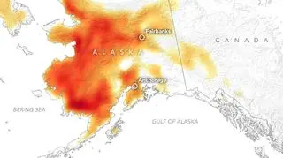 Temperatura maksymalna na Alasce 8 lipca (NASA Earth Observatory)