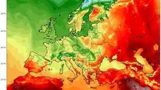 Temperatura maksymalna w Europie 14 maja (ClimateReanalyzer)