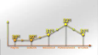 Temperatura maksymalna w Polsce
