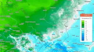 Temperatura na 1,5 m. o godz. 14