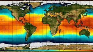 Temperatura powierzchni wód oceanicznych w rejonie równika 25 czerwca (NOAA)