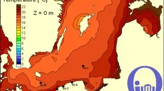 Temperatura w Bałtyku - 1 sierpnia