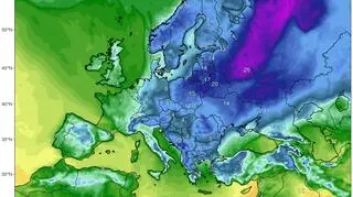 Temperatura w Europie 17 stycznia w godzinach porannych (climatereanalyzer.org)