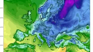 Temperatura w Europie w nocy z 16/17.01 (climatereanalyzer.org)