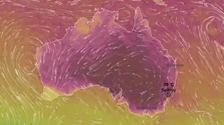 Temperatura w Sydney 10.02 (ventusky.com)
