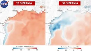 Temperatura w Zatoce spadła