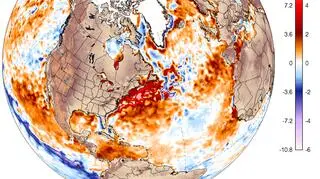 Temperatura wód na świecie (NOAA/University of Maine)