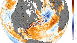 Temperatura wód Oceanu Atlantyckiego (climatereanalyzer
