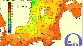 Temperatura wody w Bałtyku/Pracownia Dynamiki Morza, Instytut Oceanografii, UG
