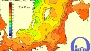 Temperatura wody w Bałtyku/Pracownia Dynamiki Morza, Instytut Oceanografii, UG
