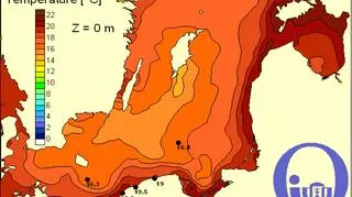 Temperatura wody w Bałtyku/Pracownia Dynamiki Morza, Instytut Oceanografii, UG