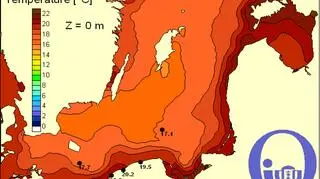 Temperatura wody w Bałtyku/Pracownia Dynamiki Morza, Instytut Oceanografii, UG
