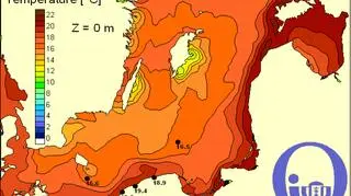 Temperatura wody w Bałtyku/Pracownia Dynamiki Morza, Instytut Oceanografii, UG
