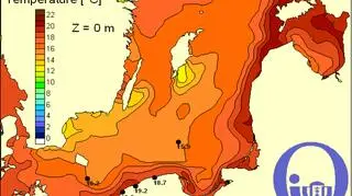 Temperatura wody w Bałtyku/Pracownia Dynamiki Morza, Instytut Oceanografii, UG