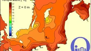 Temperatura wody w Bałtyku/Pracownia Dynamiki Morza, Instytut Oceanografii, UG
