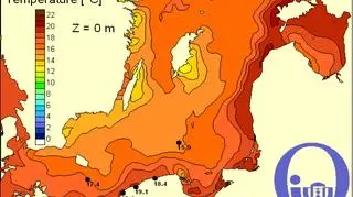 Temperatura wody w Bałtyku/Pracownia Dynamiki Morza, Instytut Oceanografii, UG