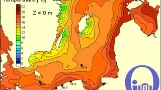 Temperatura wody w Bałtyku/Pracownia Dynamiki Morza, Instytut Oceanografii, UG
