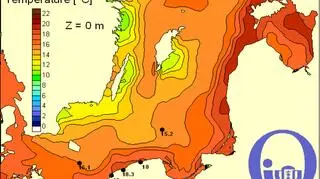 Temperatura wody w Bałtyku/Pracownia Dynamiki Morza, Instytut Oceanografii, UG