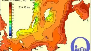 Temperatura wody w Bałtyku/Pracownia Dynamiki Morza, Instytut Oceanografii, UG