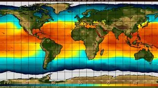 Temperatury powierzchniowe oceanów 24 września - kolor ciemnobiebieski oznacza najniższe wartości, czerwony - najwyższe  (NOAA)