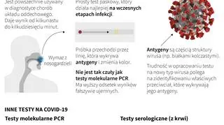 Test antygenowy (Maciej Zieliński/Adam Ziemienowicz/PAP/AFP)