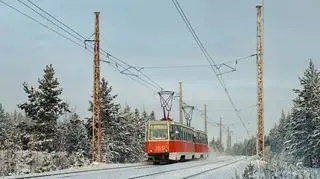 Tramwaj jeździ przez tajgę