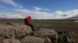 Trawers Islandii solo