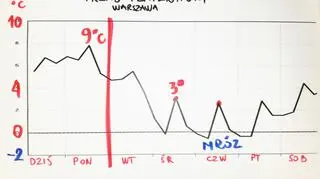 Trend temperatury w Warszawie na najbliższe dni