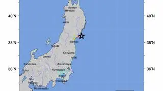 Trzęsienie ziemi u wybrzeży Japonii (USGS)