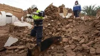 Trzęsienie ziemi w Iranie