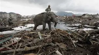 Tsunami na Oceanie Indyjskim