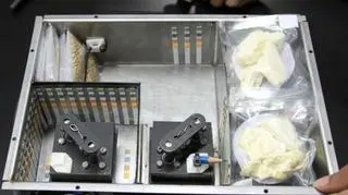 Ugotowany durian poleci w kosmos (GISTDA)