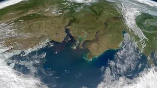 Ujścia rzek Jenisej i Ob do Morza Karskiego (NASA dzięki uprzejmości Normana Kuringa, Ocean Color Web)