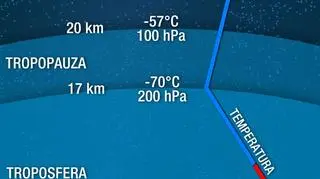 Uproszczony wykres zmian temperatury i ciśnienia w atmosferze (TVN Meteo)