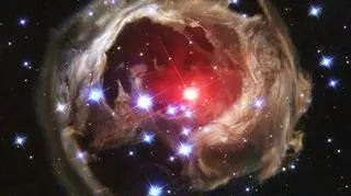 V838 Monocerotis i jej "świetlne echo"
