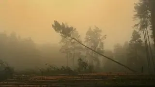"W jesiennej mgle" Grzegorza Gaczyńskiego