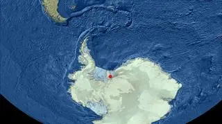 W tym miejscu znaleziono nowe gatunki zwierząt (British Antarctic Survey)